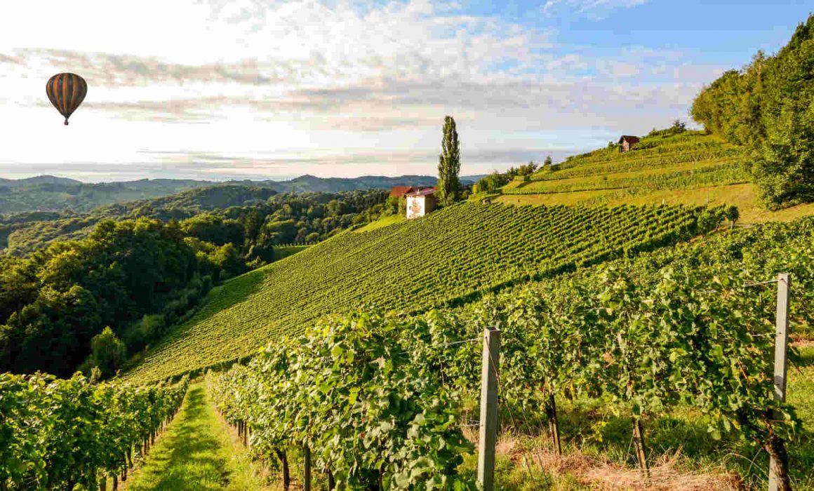 enoturismo italia
