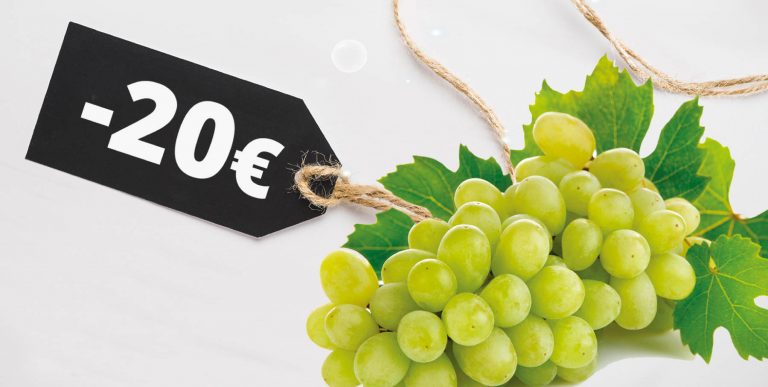 Vini bianchi sotto i 20 euro