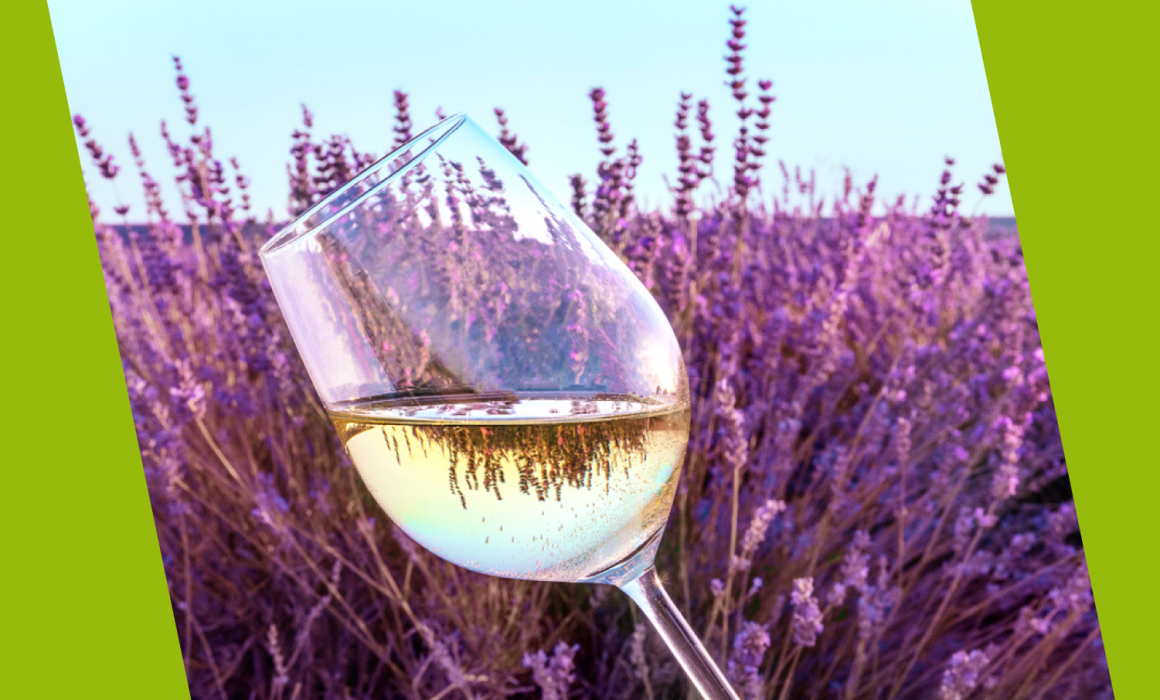distribuzione vini ristoranti