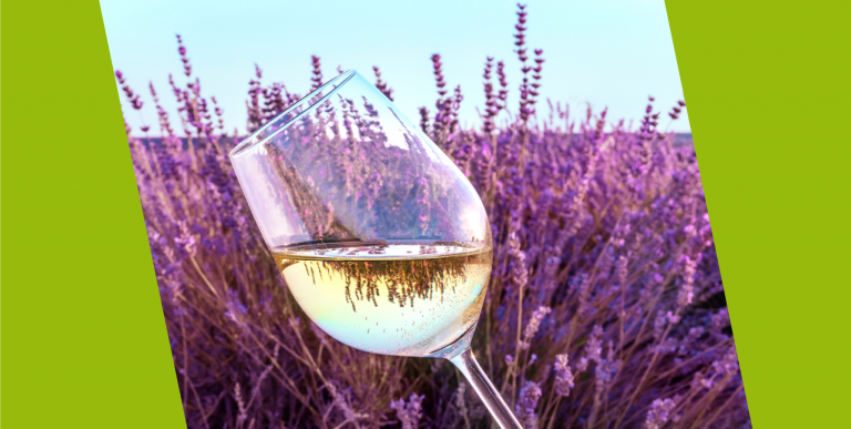 distribuzione vini ristoranti